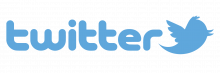 Logo Twitter mit Schriftzug